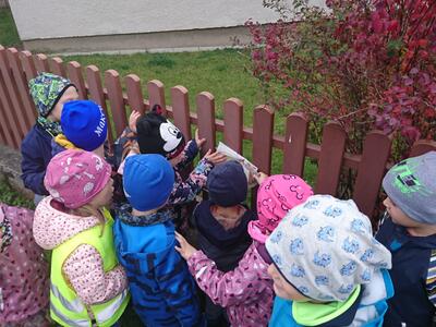 dsc_1241_20231026_1681286393 002