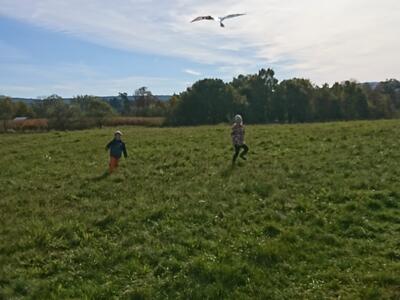 dsc_3616_20221021_1908682642 003