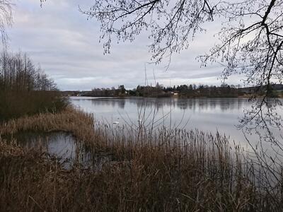 dsc_0075_20230113_1780494448 001